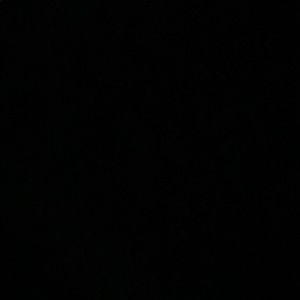 Meet your Posher, Martha